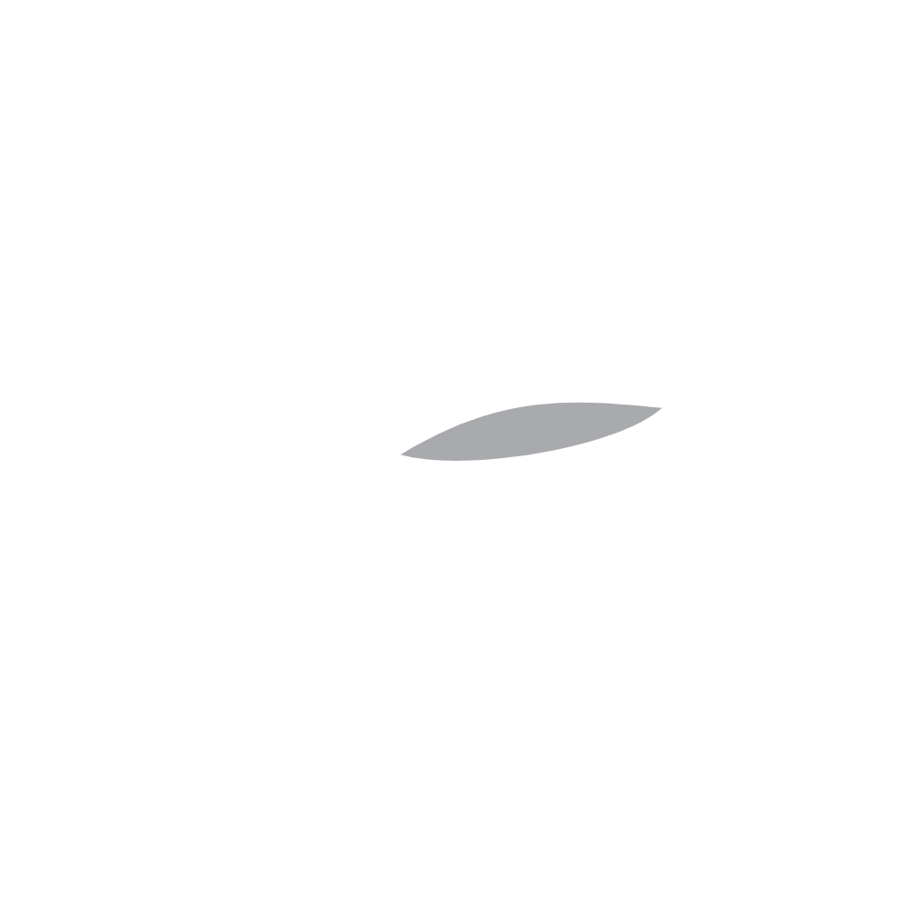 Orcanize Logo